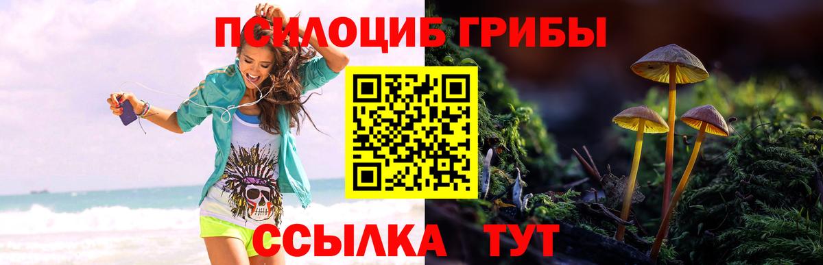 Галлюциногенные грибы MAGIC MUSHROOMS Нефтекамск